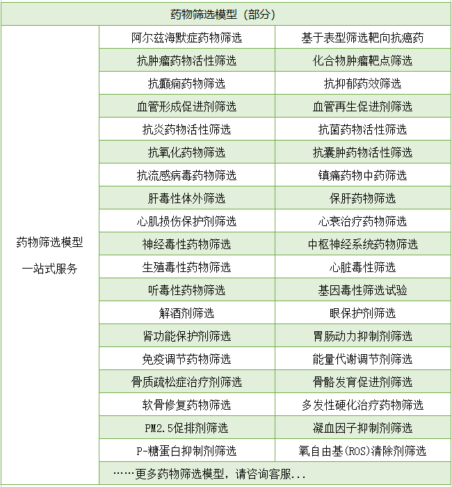 药物筛选模型