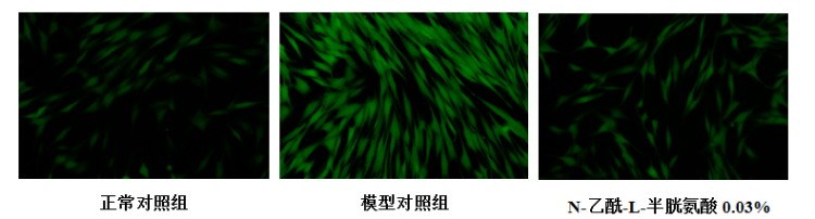 图片 6.jpg
