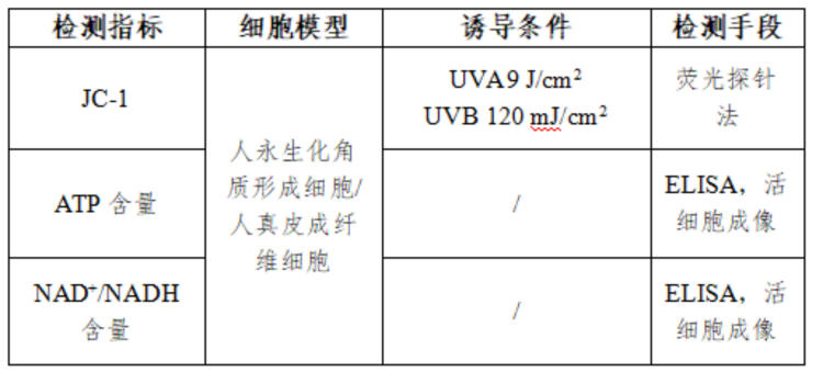 表1(7).png