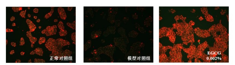 图片 5.jpg