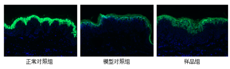 图片 3.png