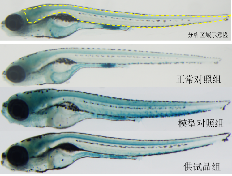 图片 1.png