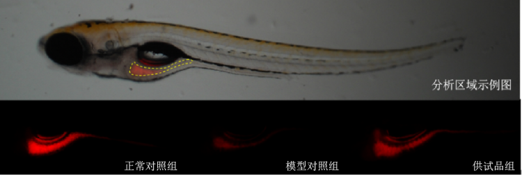 图片 1.png