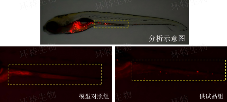 图片 1.png