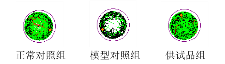 图片 1.png