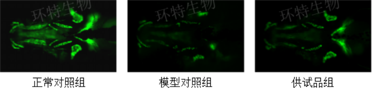 图片 1.png