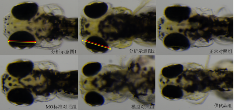 图片 1.png
