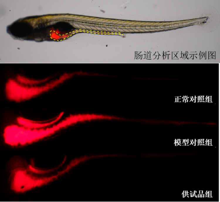 图片 1.png