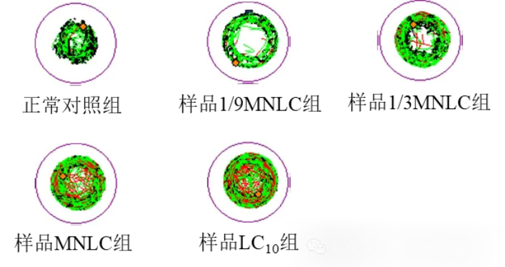 640 (14).png