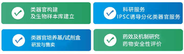 类器官服务